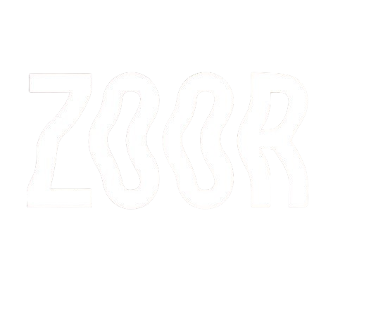 Zoor Disposable